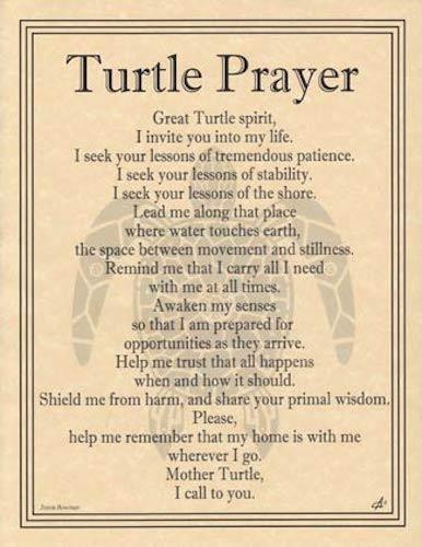 parchment成绩单,成绩单考试成绩 turtle prayer parchment page for book of shadows!