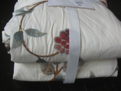 Pottery Barn Alisa Alissa Embroidered Duvet 2 Shams King Cal K