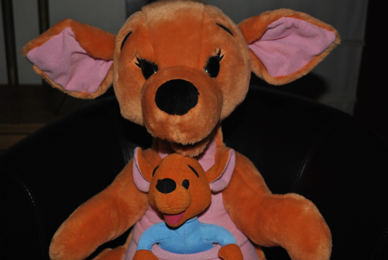 winnie the pooh roo plush