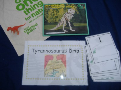 julia donaldson the dinosaurs diary