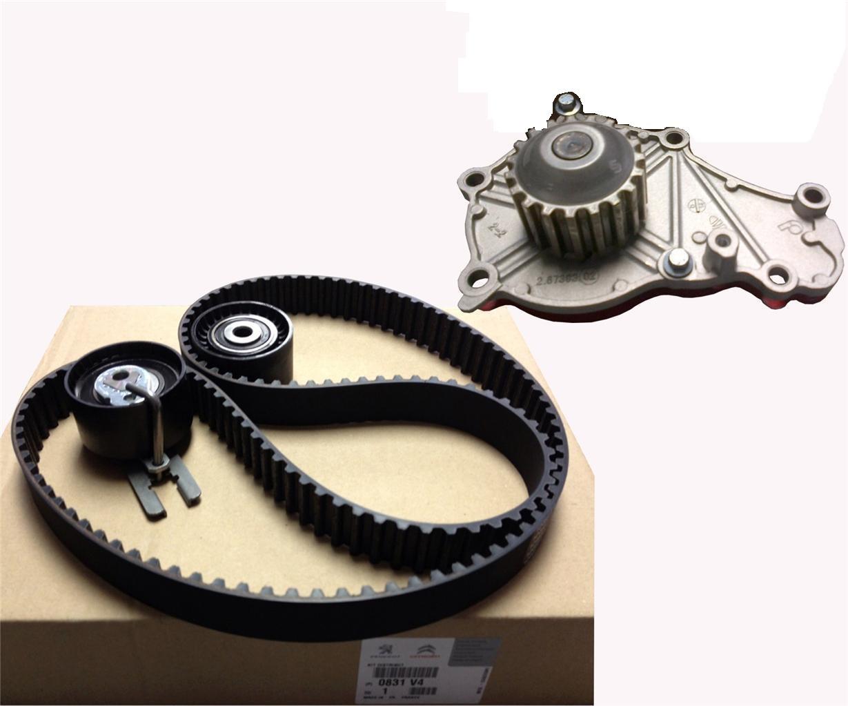 TIMING BELT WATER PUMP KIT FOR PEUGEOT CITROEN FIAT FORD ... citroen timing belt 