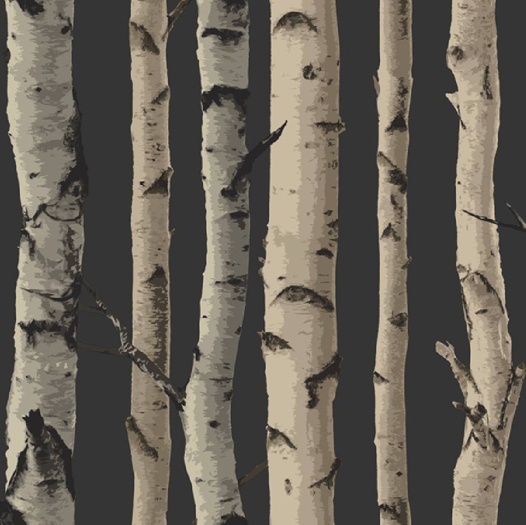 New Birch Tree Woods Branches Jungle Forest Print 10m ...