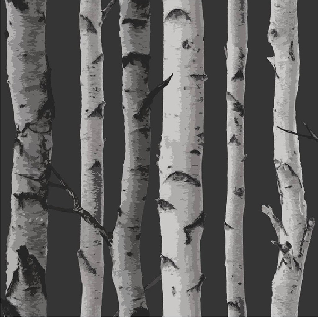 NEW BIRCH TREE WOODS BRANCHES JUNGLE FOREST PRINT 10M ...