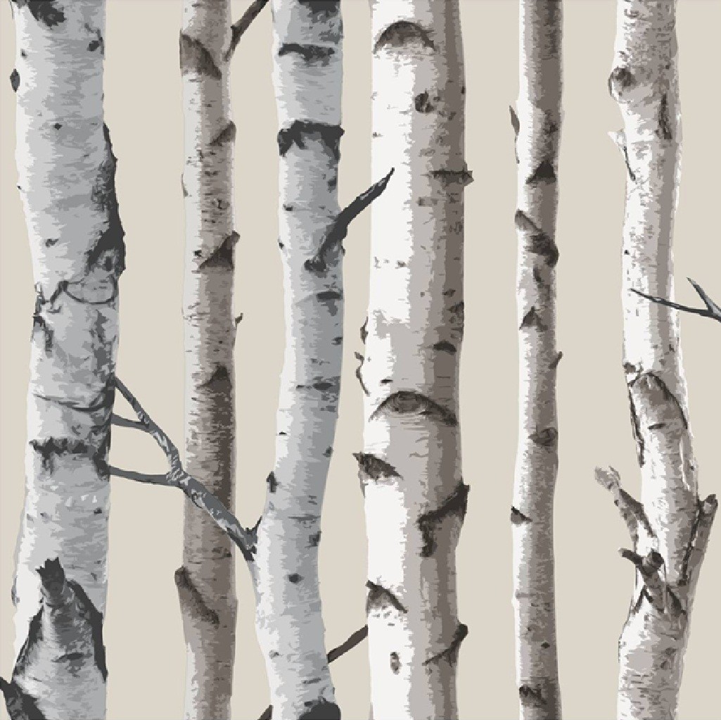 New Birch Tree Woods Branches Jungle Forest Print 10m ...