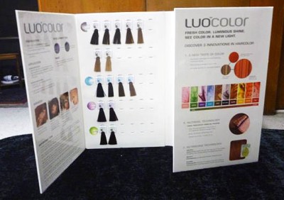 L'OREAL PROFESSIONAL LUOCOLOR HAIR COLOR SWATCH BOOK LOREAL LUO COLOR