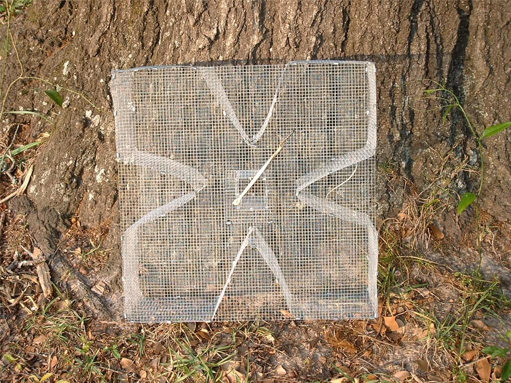 Perch Trap