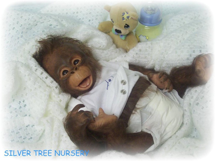 reborn orangutan