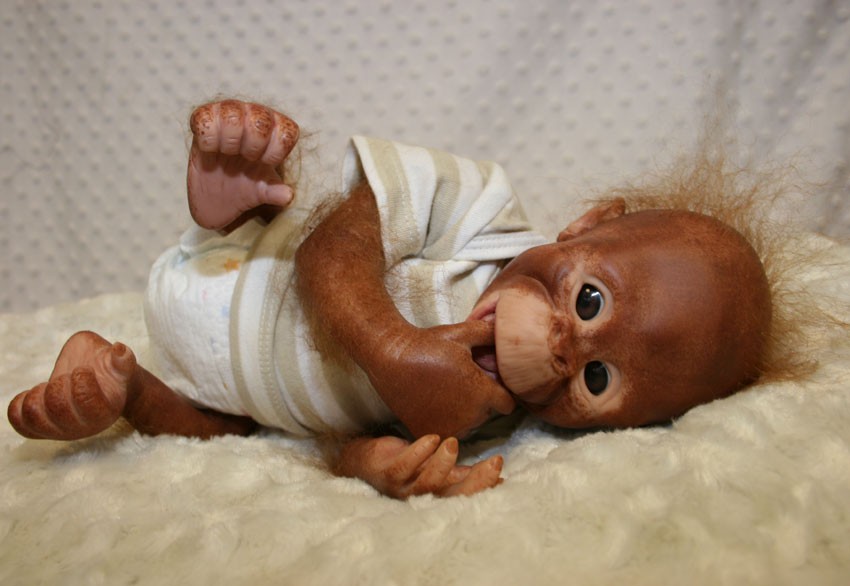 Binki Orangutan/Monkey Doll Kit by Denise Pratt for reborn | eBay
