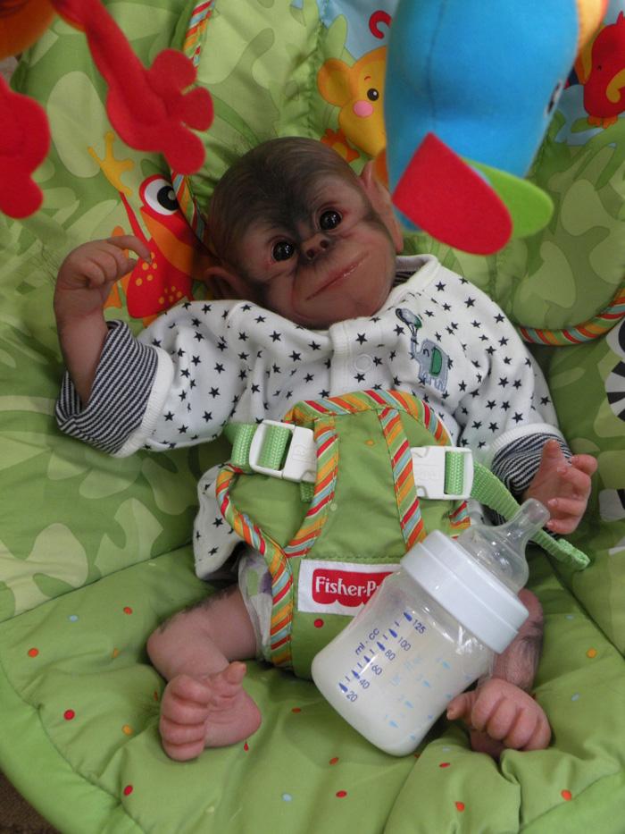 reborn orangutan