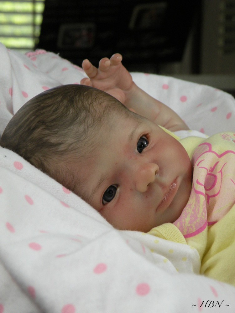 ebay reborn doll kits