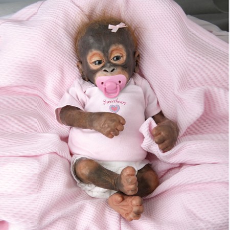 so truly real monkeys