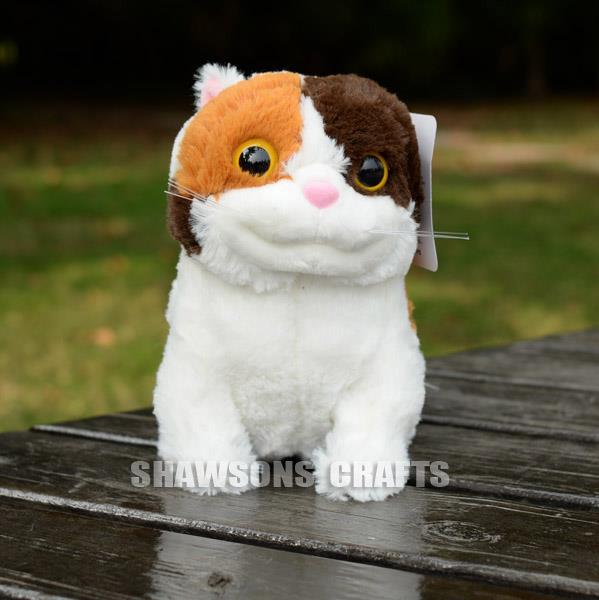 pig cat toy