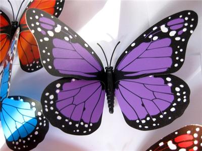 Butterflies  Weddings on 10 Colour 3d Artificial Butterfly Wedding  Home Favor    Ebay