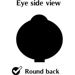 eBay Image Hosting at www.auctiva.com