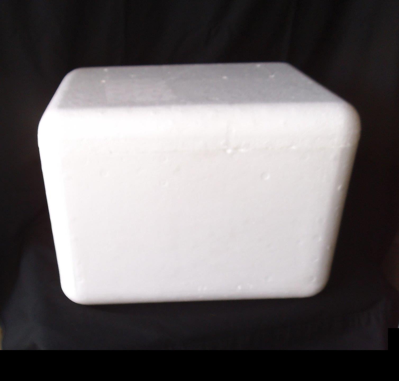 Lg EPS Styrofoam Insulated Shipping Cooler Container w/ Thick Walls