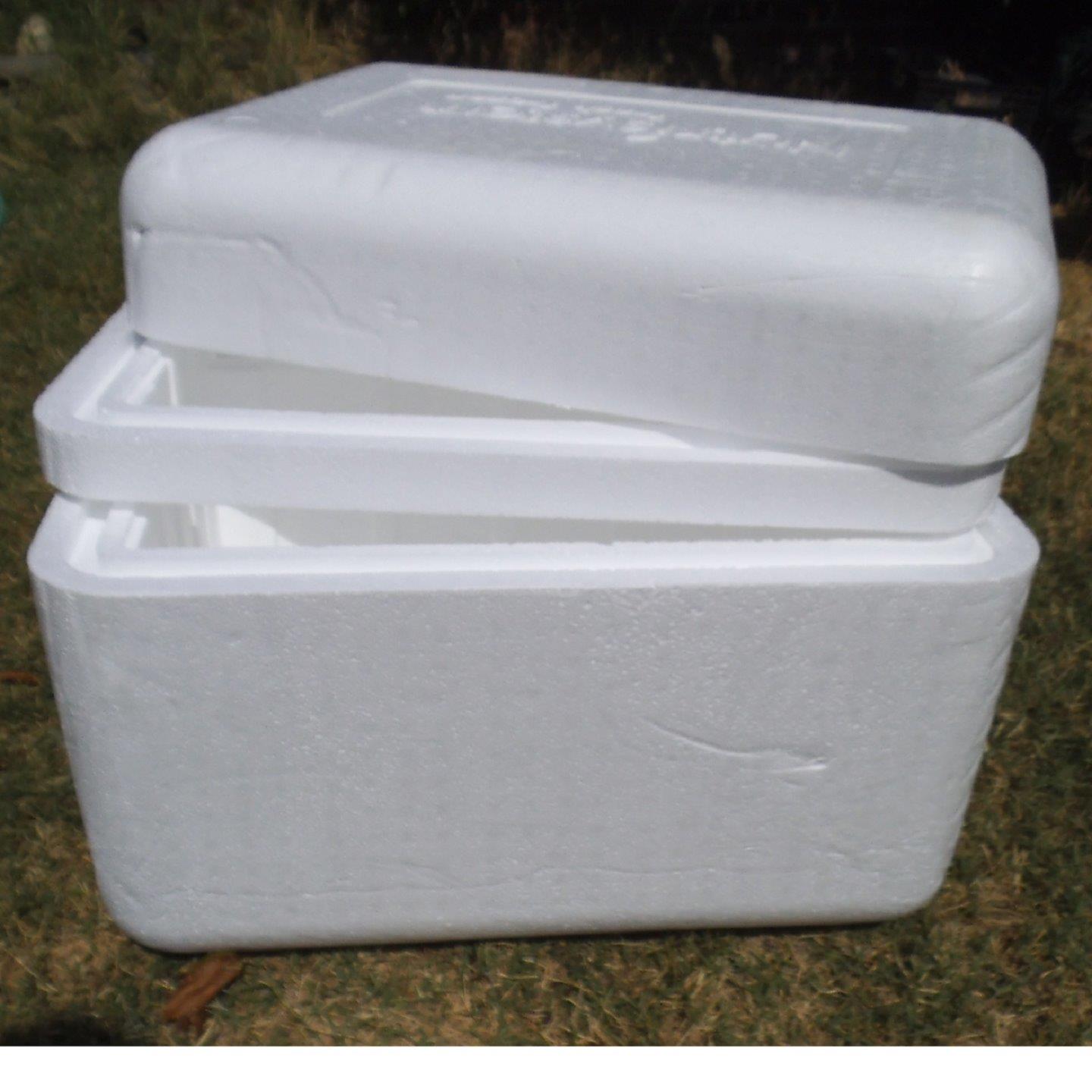 Lg Eps Styrofoam Insulated Shipping Cooler Container W Thick Walls Choose Size Ebay