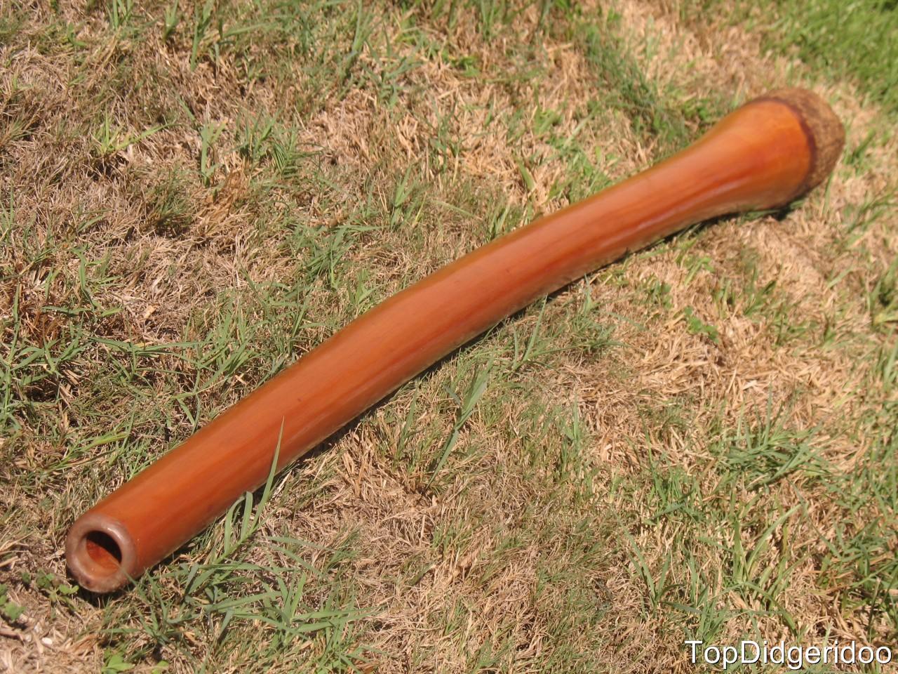 Handmade, One of a Kind Aboriginal Jackfruit Didgeridoo +Special Bag