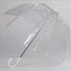 eBay Image Hosting at www.auctiva.com