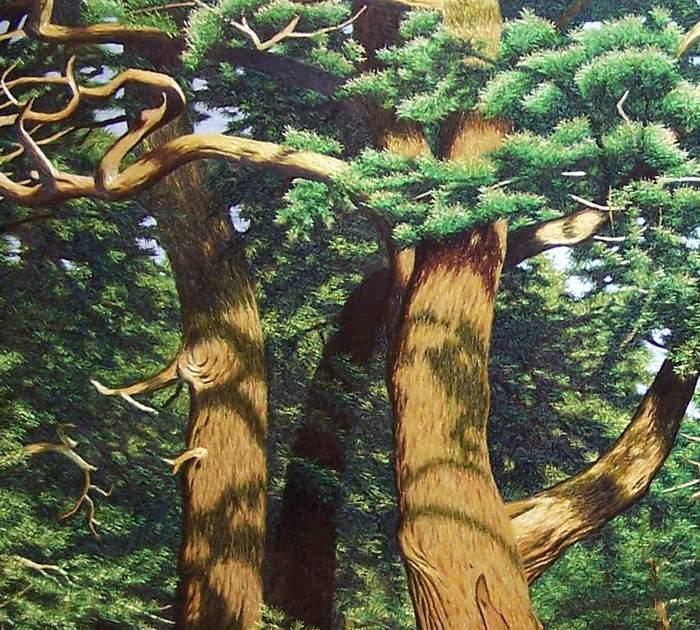 How to get FREE Hand Embroidery Designs | eHow.com