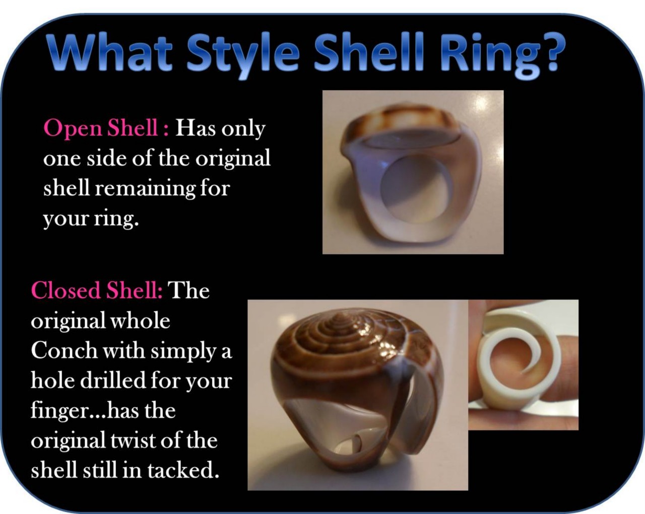 Conch Fashion Spiral Seashell Shell RING...More Sizes & Styles