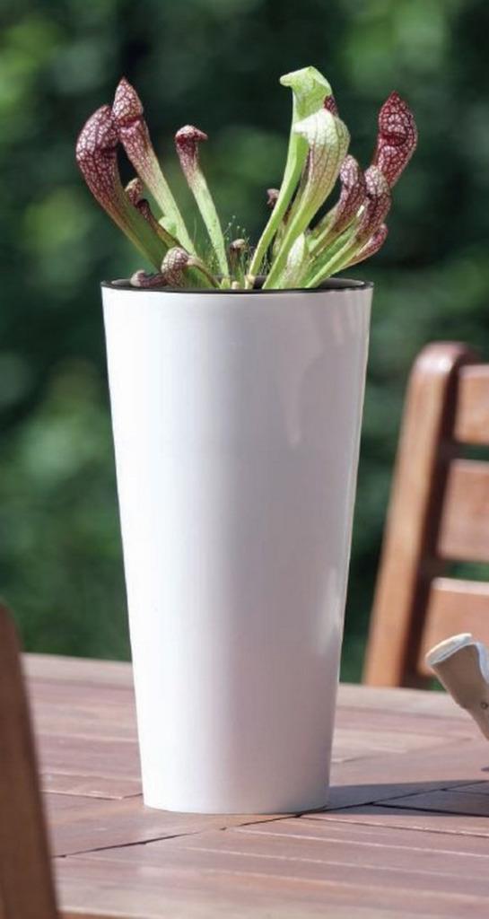 SLIM TUBUS WHITE POT GARDEN FLOWER PLANTER + LINER 47cm 15 SLIM TUBUS WHITE POT GARDEN FLOWER PLANTER + LINER 47cm 15