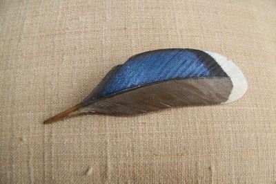 mallard duck reck carved paul wood hand feather
