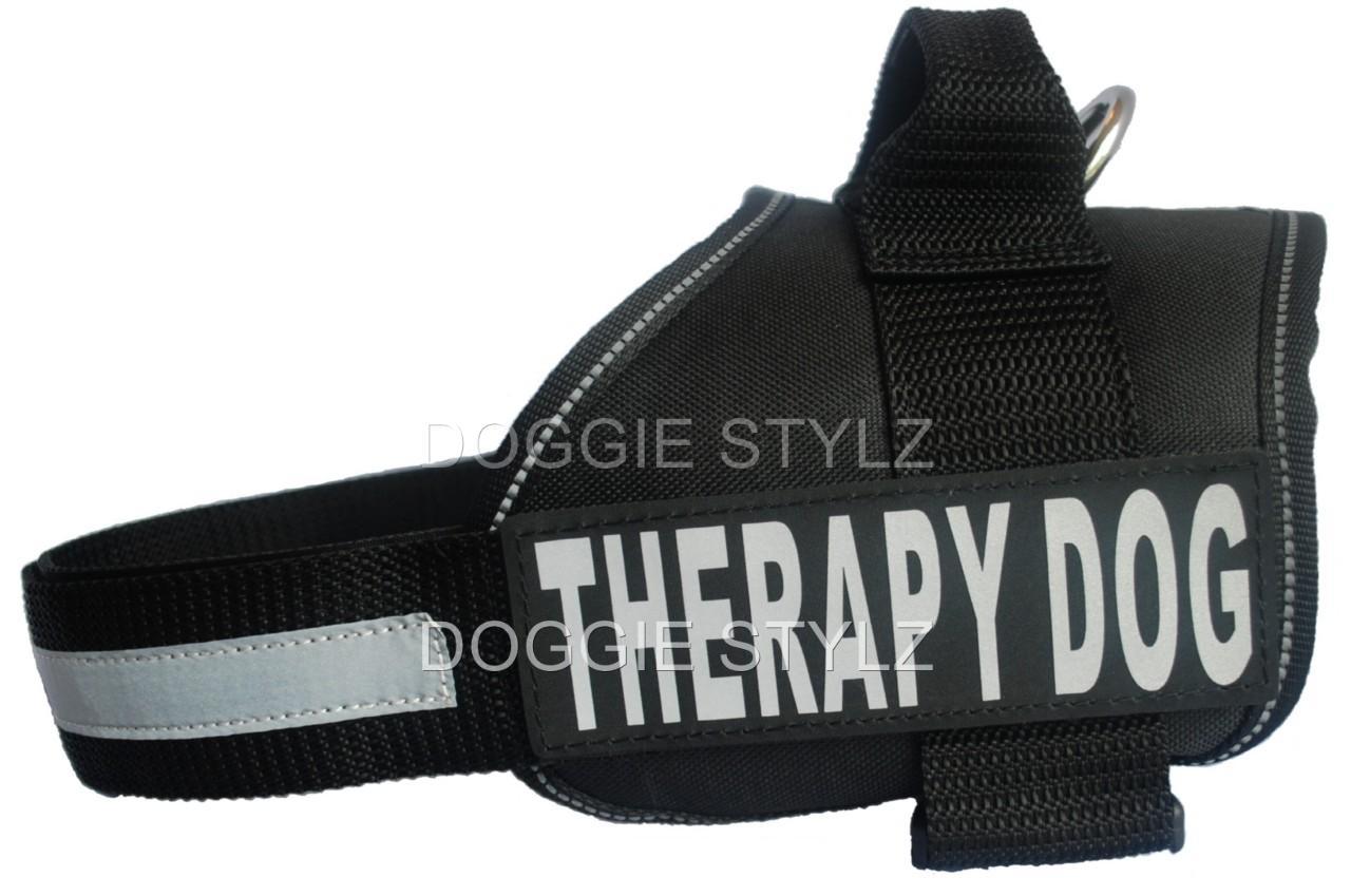 Dog Harness Large Medium Small Service Velcro Patches