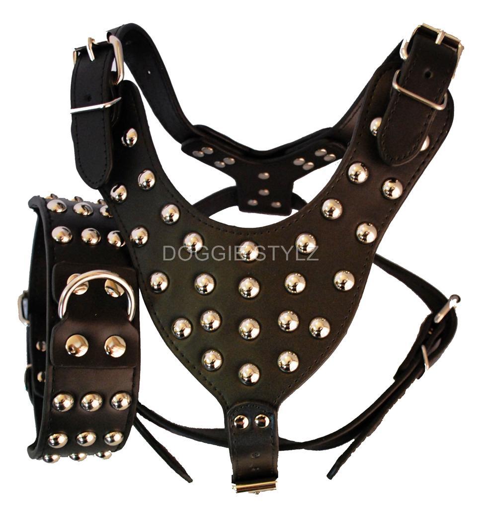 Pet Supplies > Dog Supplies > Harnesses Pet Supplies > Dog Supplies > Harnesses