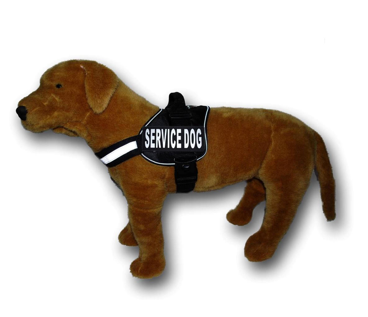 Service Dog Vest Coat Jacket Removable Velcro Patches Small Medium Service Dog Vest Coat Jacket Removable Velcro Patches Small Medium