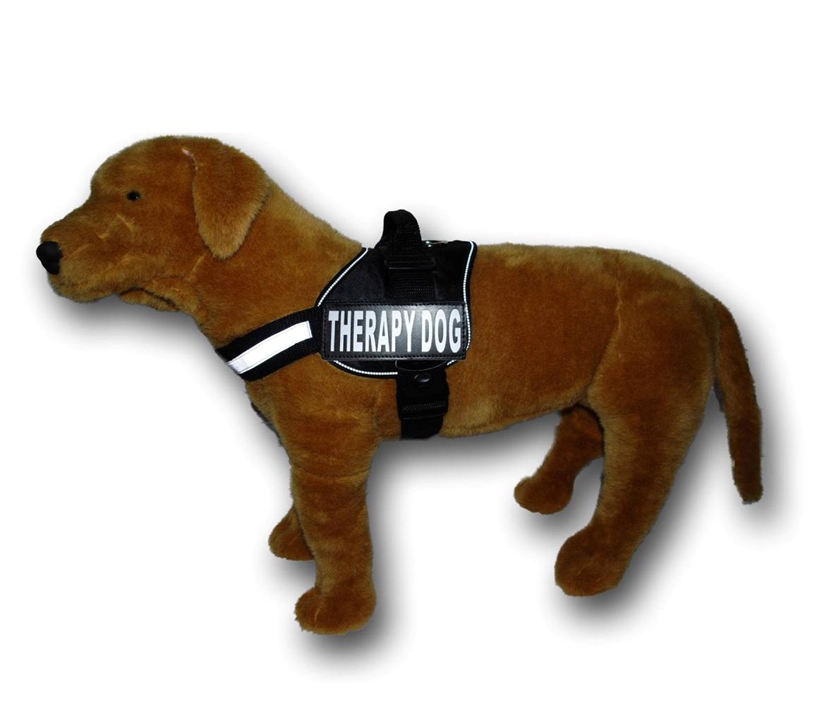 SERVICE dog harness Patches Medium Large XL Professional Guide Mobility