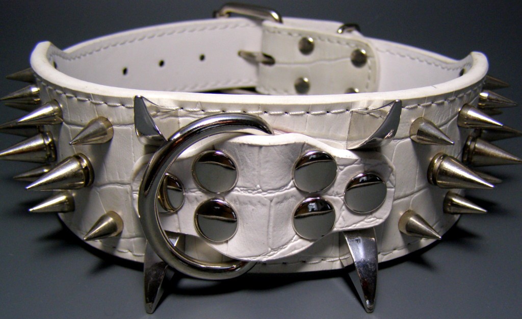 POWER HUNDE NIETENHALSBAND LEDER COOL WEISS 5 x 64cm eBay