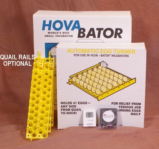 Egg Incubator