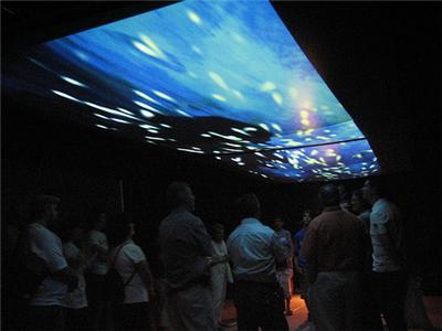 rear projection material rear projection material