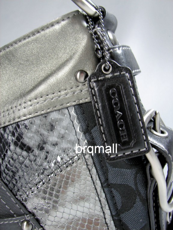 eBay Image Hosting at www.auctiva.com