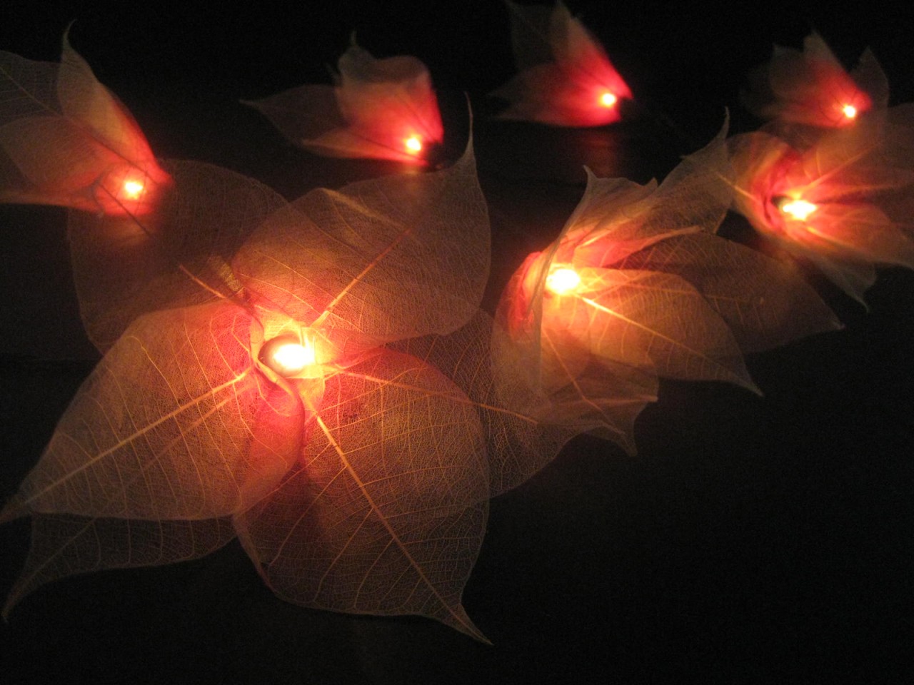 RED WHITE STAR FLOWER LANTERNS STRING FAIRY LIGHTS eBay