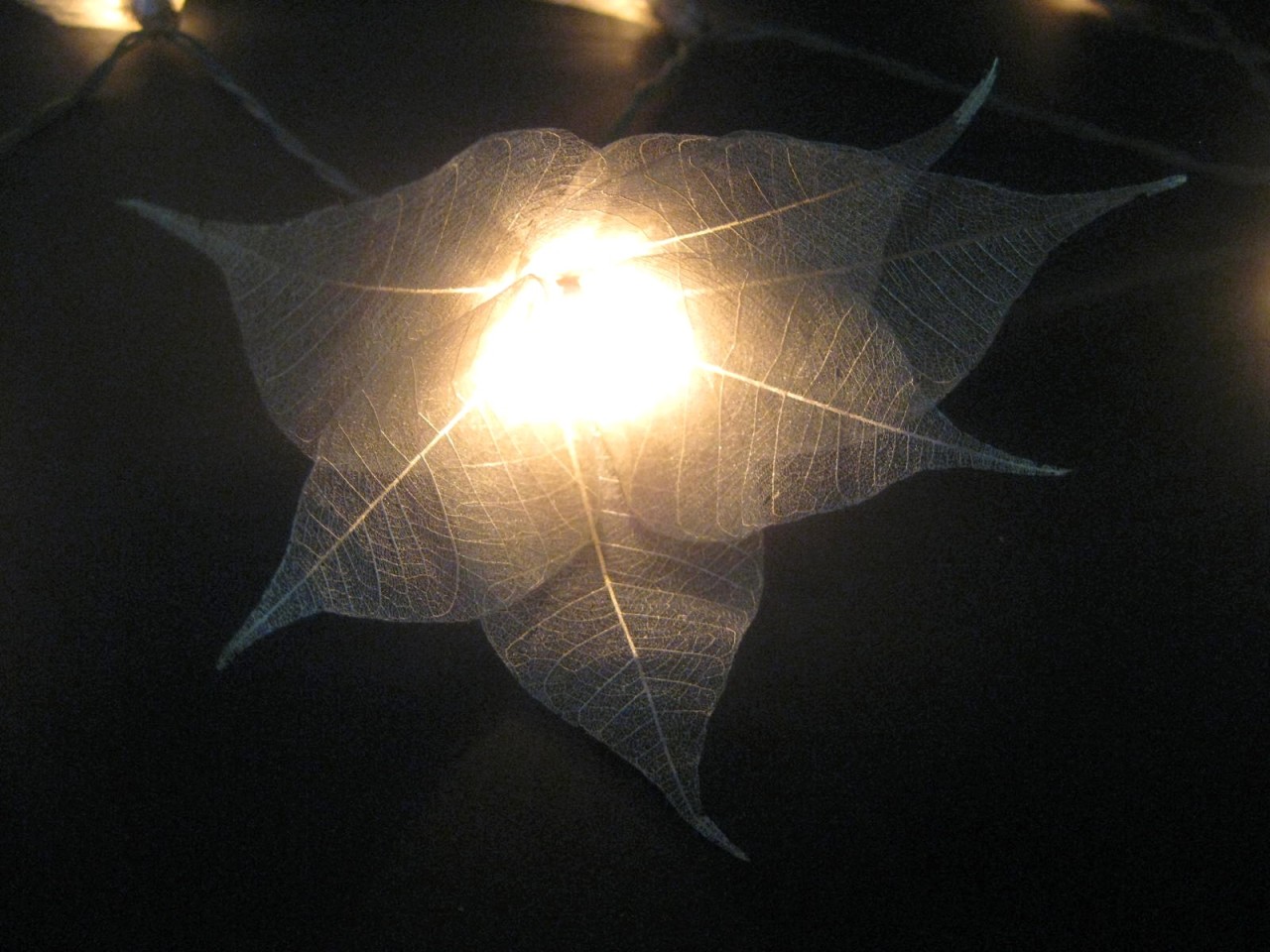 35 SILVER Star Flower 5M LONG LENGTH String LED Fairy Lights Wedding Party