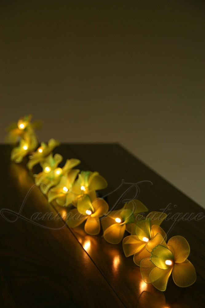 35 Yellow Green Orchid Flower Extra Long 5M LED String Fairy Lights Lanterns eBay