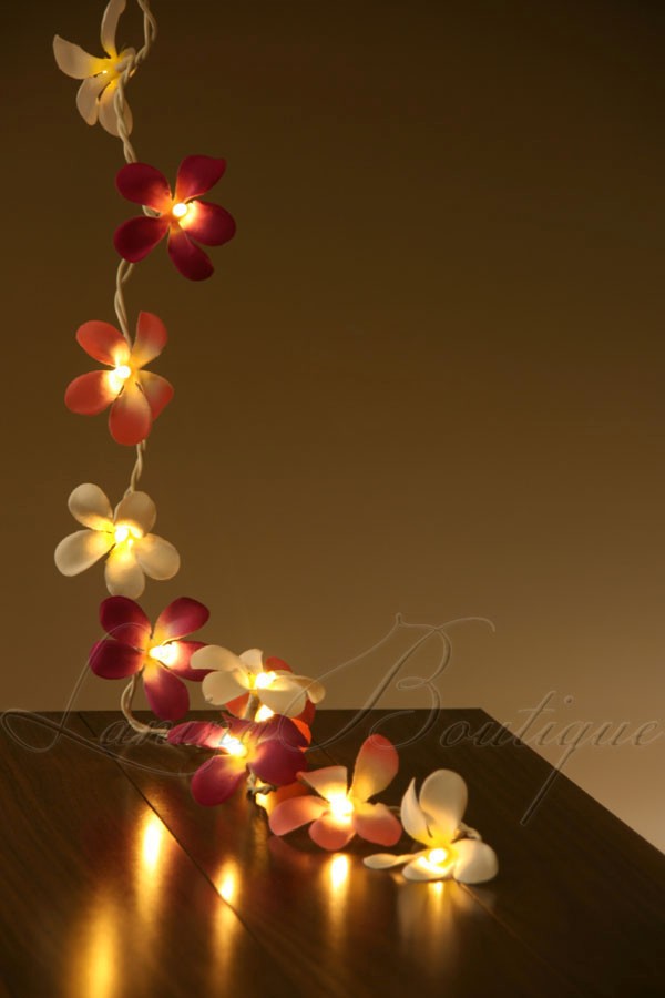 35 PINK, PURPLE & WHITE Frangipani Flower 5M LED String Fairy Lights AUS PLUG eBay