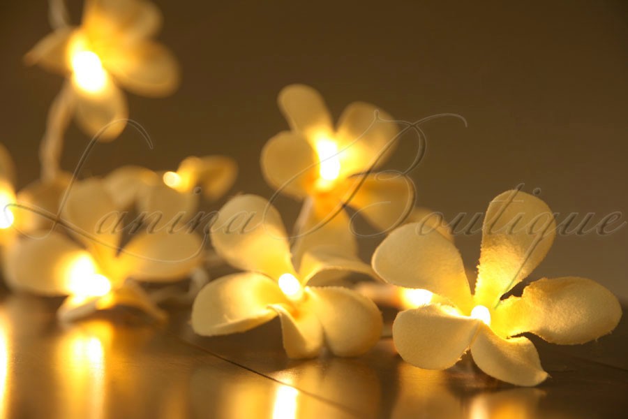 20 BATTERY Yellow Cream Frangipani Flower 3M LED String Fairy Lights NEW Wedding eBay