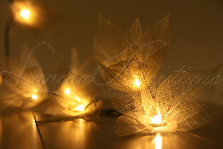 Lights Lanterns Wedding Lights Lanterns Wedding