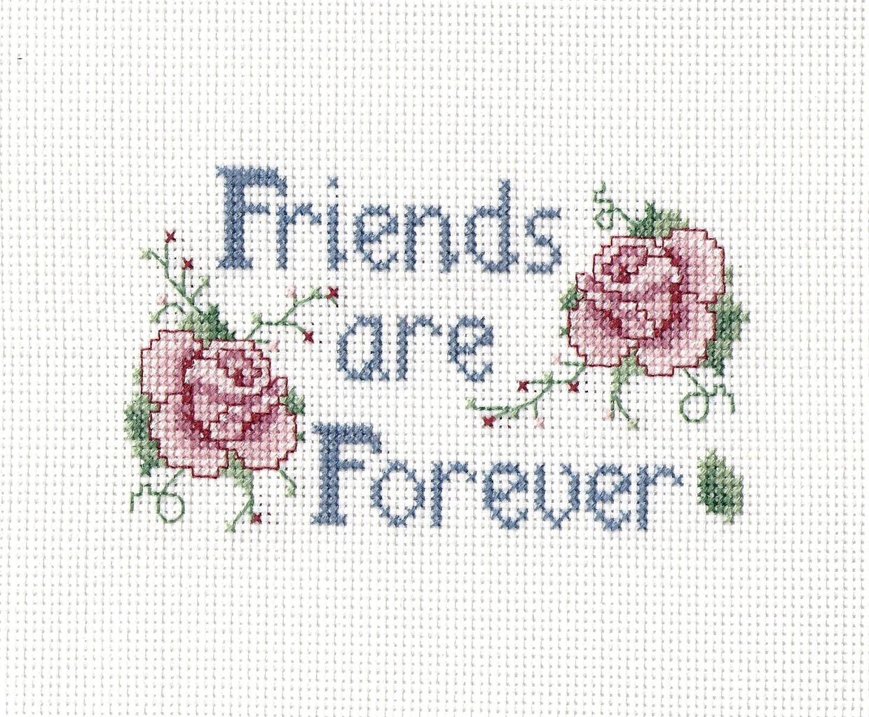 COMPLETED CROSS STITCH , FRIENDS ARE FOREVER