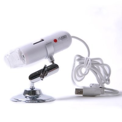 eBay Image Hosting at www.auctiva.com