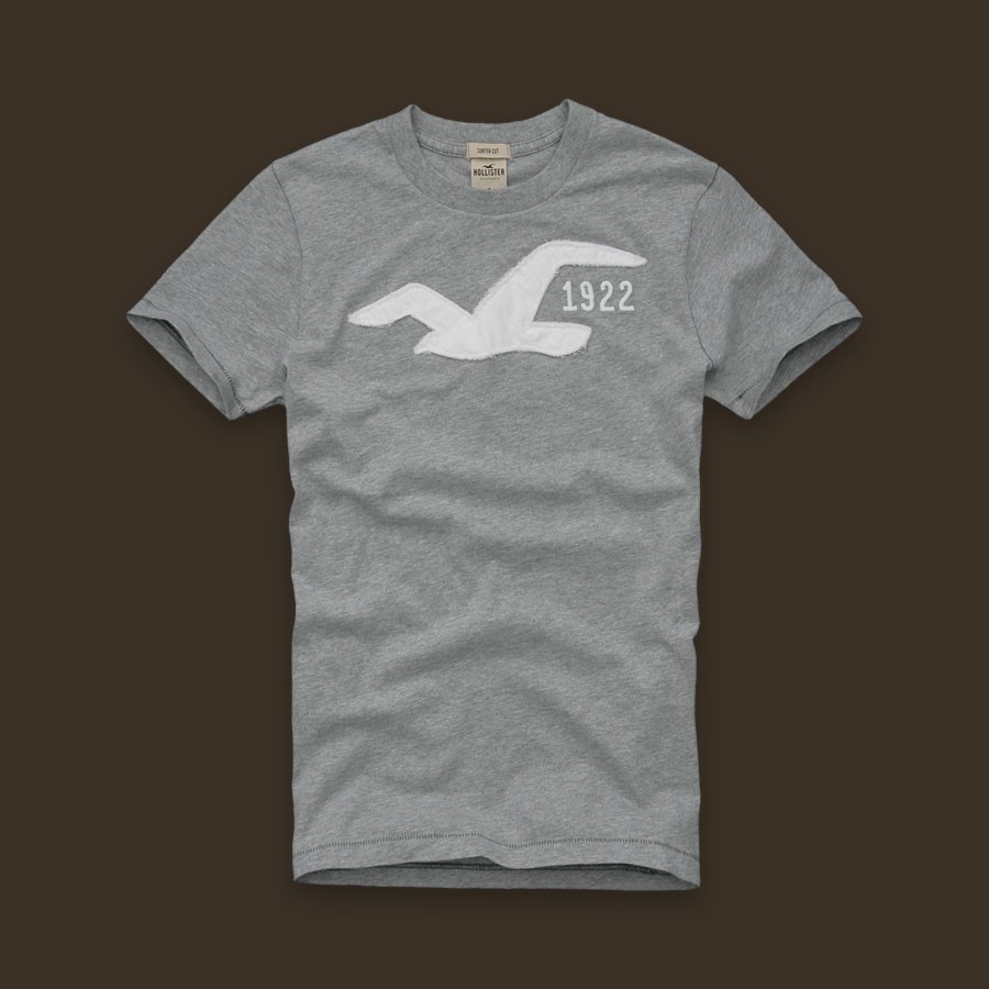 NWT NEW Hollister Men's Graphic Logo Tee TShirt S eBay