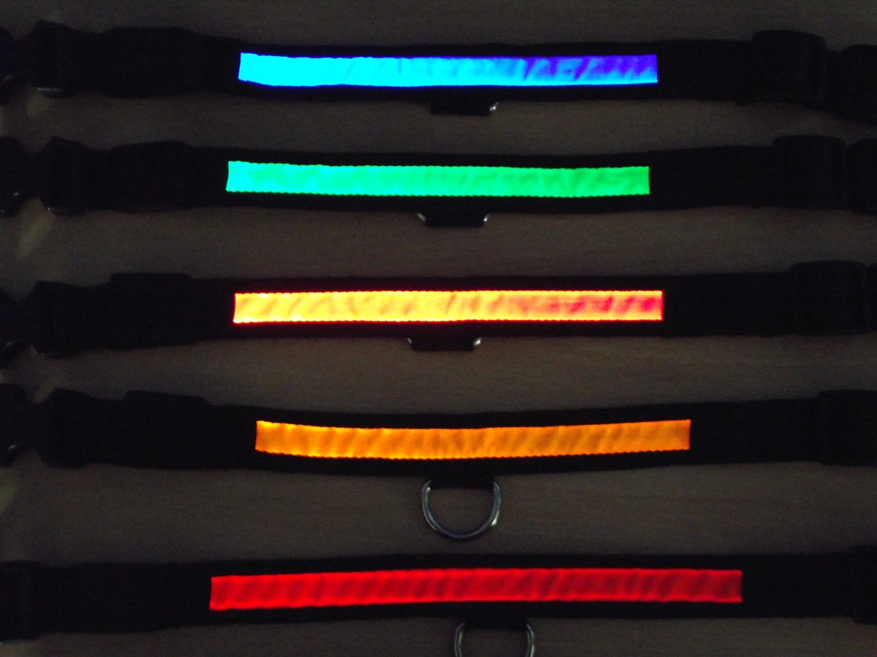 Illuminated led dog cat pet collar red green blue yellow s m l xl battery inc