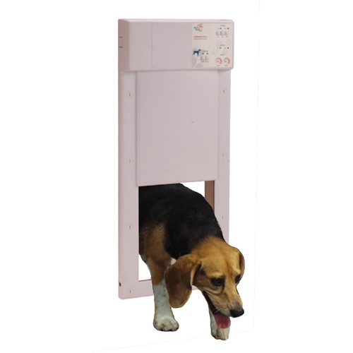 Power electronic pet dog cat automatic door w  2 collar