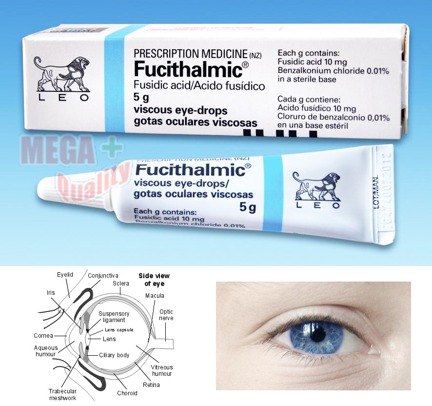 Cyclosporine For Cats Side Effects