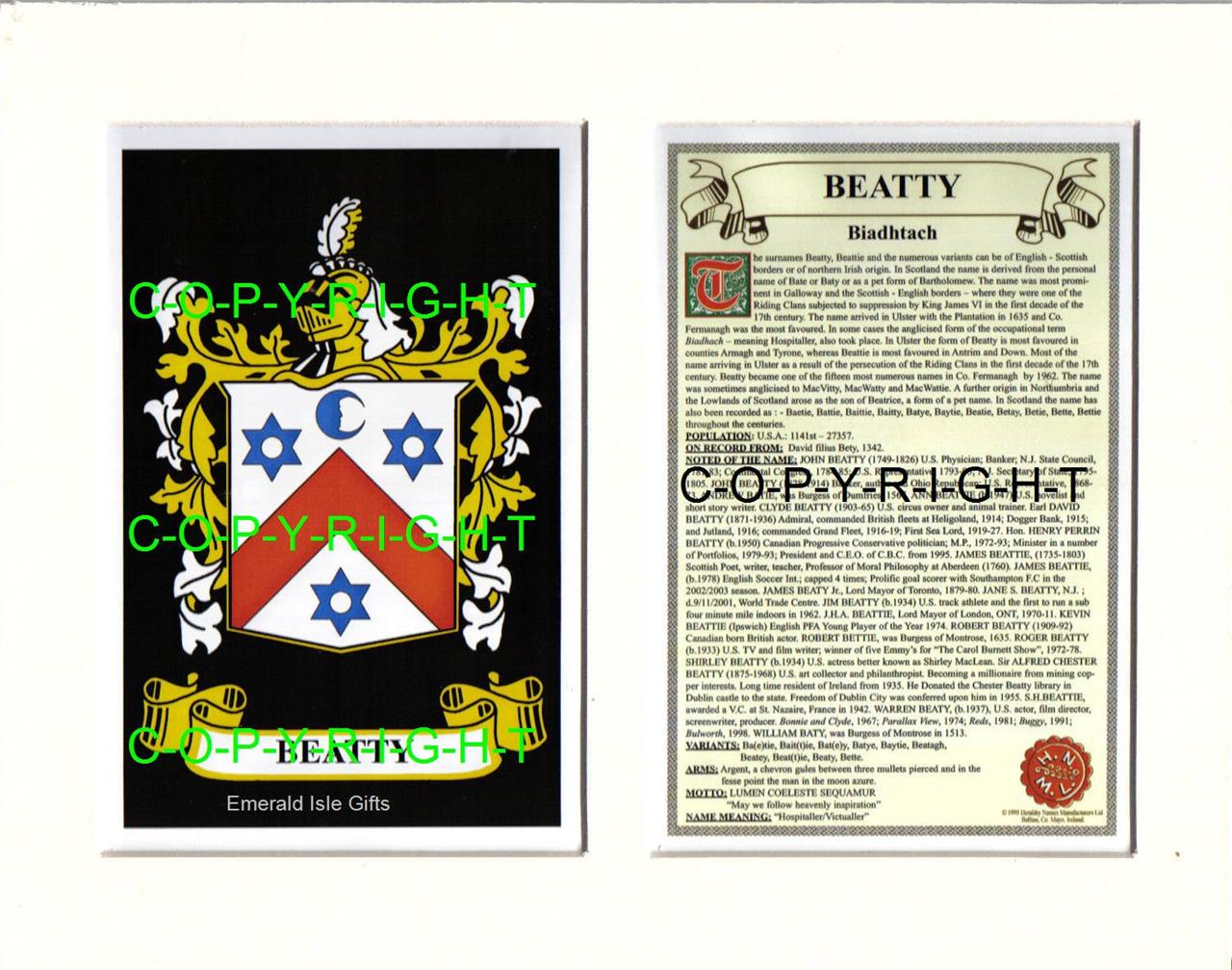 Heraldic Coat of Arms Crest Mount Family History Bean to Bergin eBay