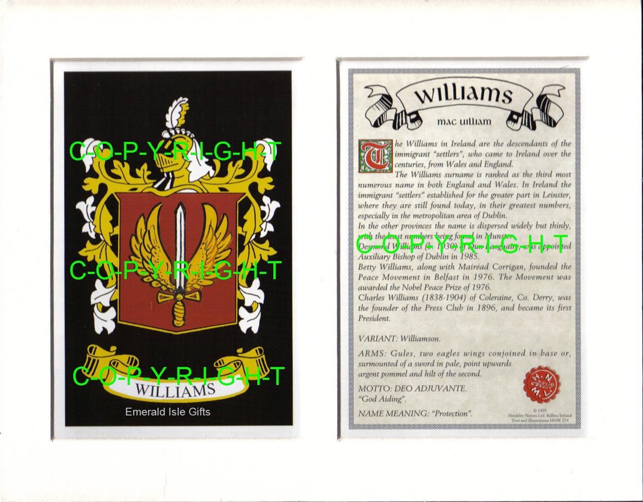 WILLIAMS Family Coat of Arms Crest + History Available Mounted or Framed