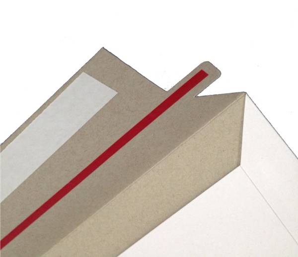 100 128x240mm 300gsm Hard DLX Envelopes Mailers Semi Rigid White DL