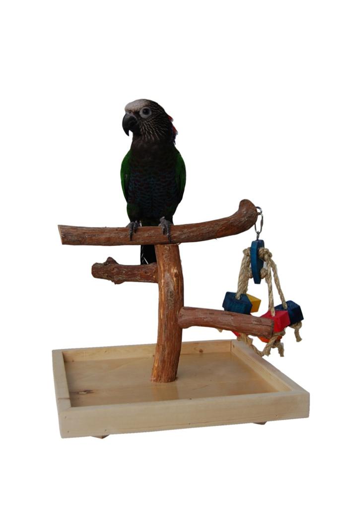 Dragonwood Bird Training Tabletop TStand Deluxe SMALL MEDIUM LARGE